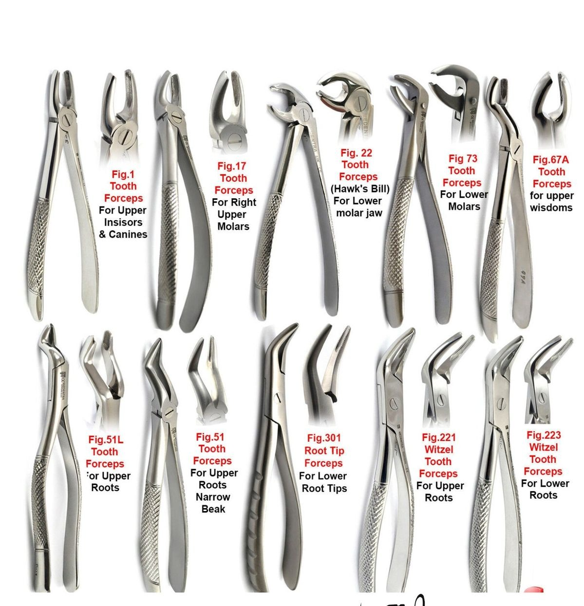 Modern dental equipment and instruments